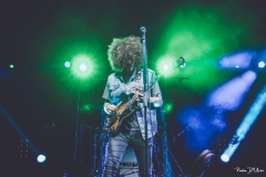 wolfmother11