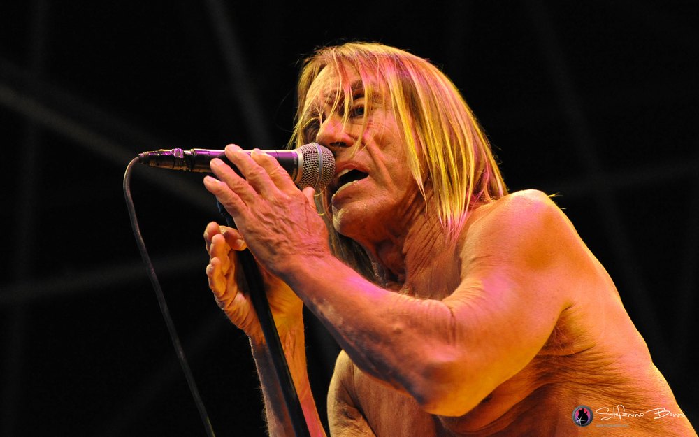 iggy-pop