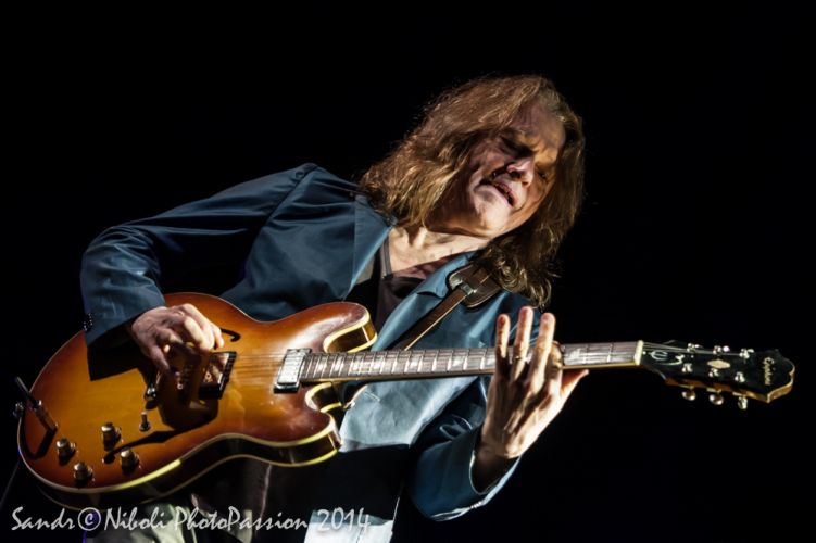 robbenford