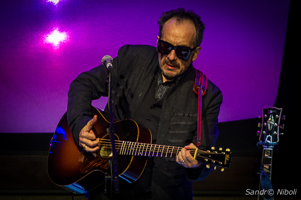 Elvis-Costello