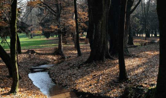 parco valle del Lambro