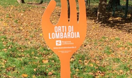 Orti e giardini condivisi